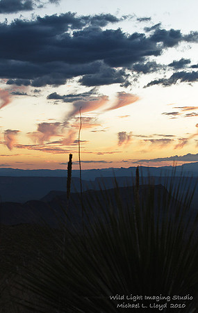 BiBe Sunset_MLL8350