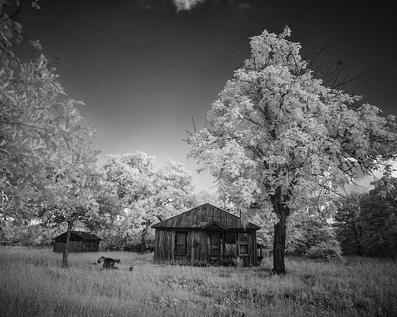 Old Homestead
