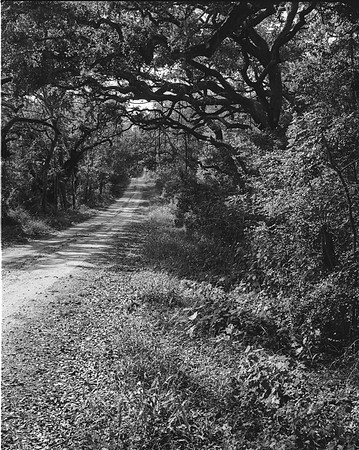 Backroad 1