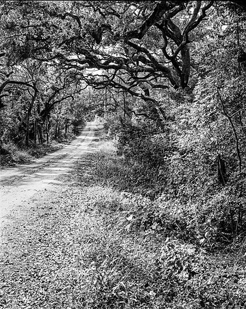 Backroad 2