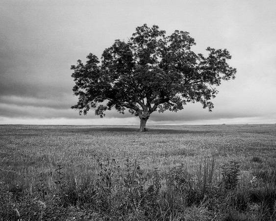 Placeholder Delta 100