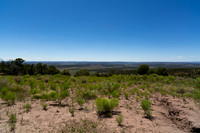 Carson National Forest