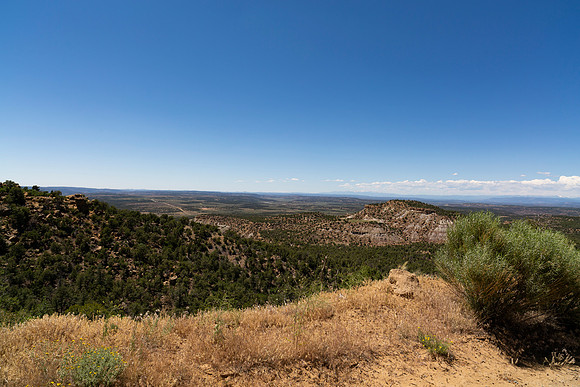 Carson National Forest