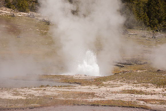 Yellowstone_MLL4650