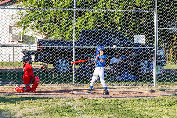 _MLL7295_