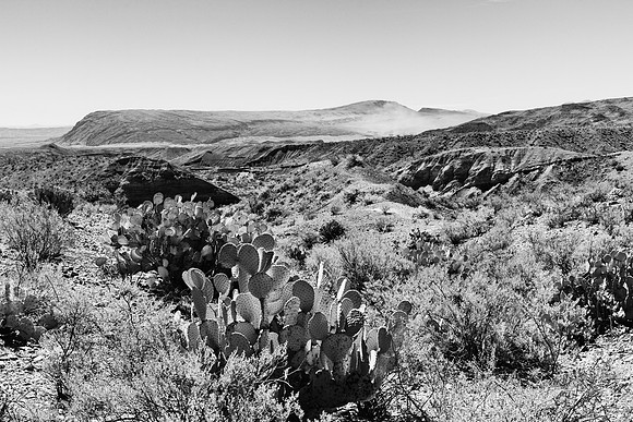 Glenn Spring Area_MLL3646_