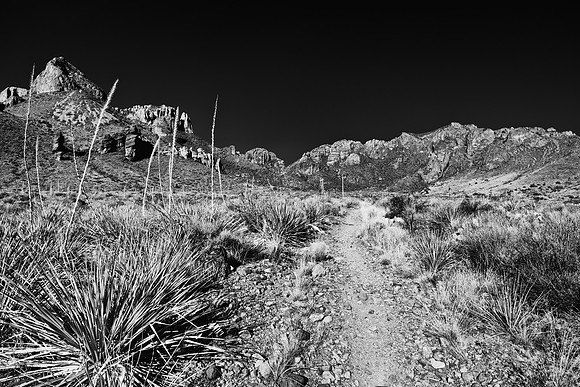 Pine Canyon_MLL3633_