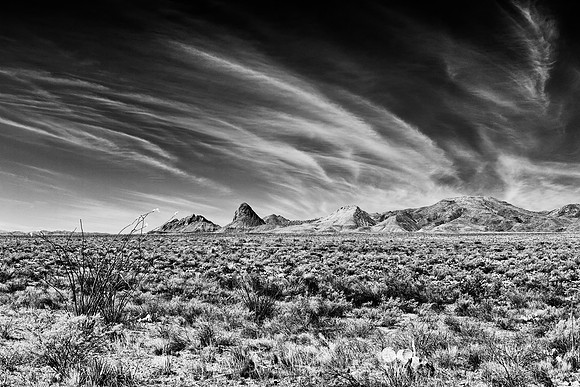 Glenn Springs Road_MLL3641_