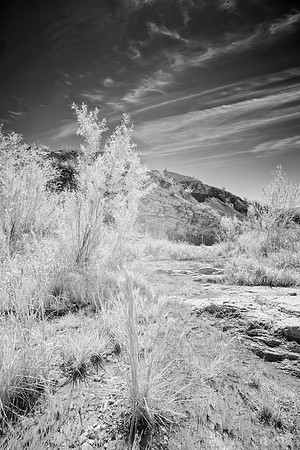 Glenn Spring Area_MLL3648_