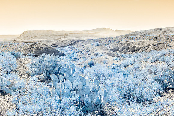 SCIR_MLL3646_