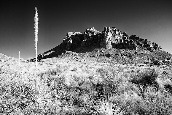 Pine Canyon_MLL3631_