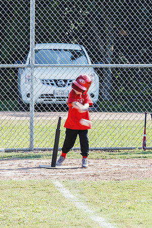 T-Ball Last Game