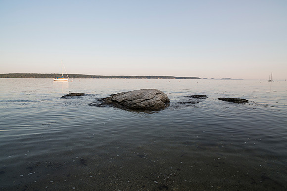 Evening High Tide