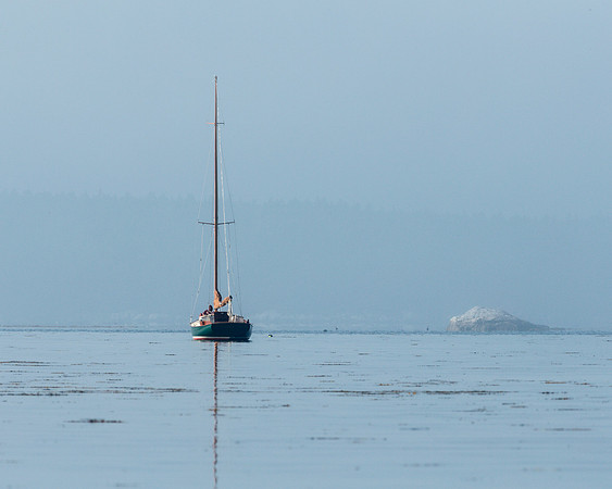 Morning in Hatchet Cove