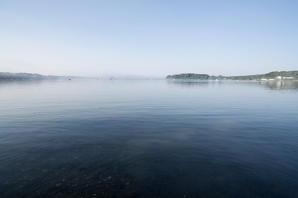 Hatchet Cove Foggy Morning