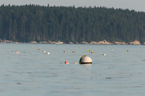 Buoy and Floats