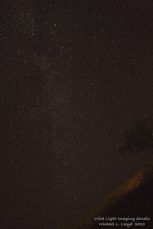 BiBe Stars_MLL1289