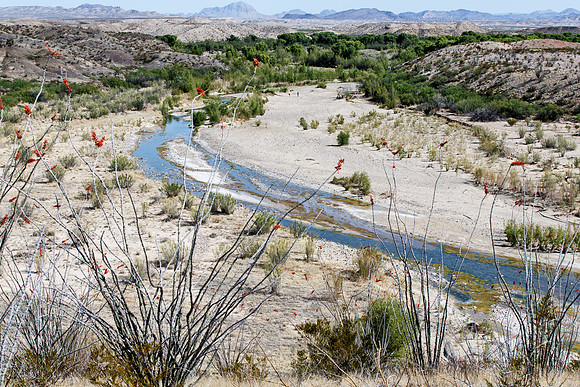 Terlingua Creek