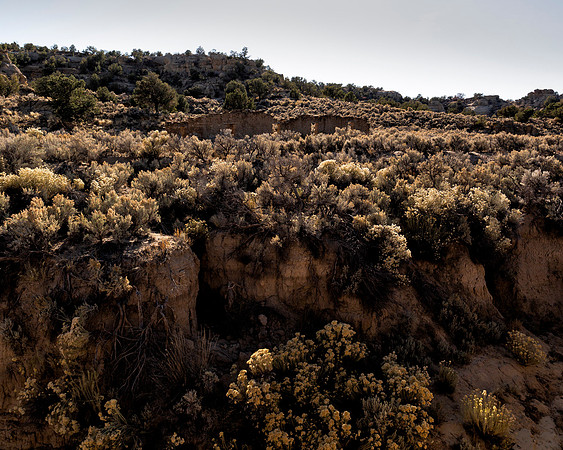 Haynes Trading Post