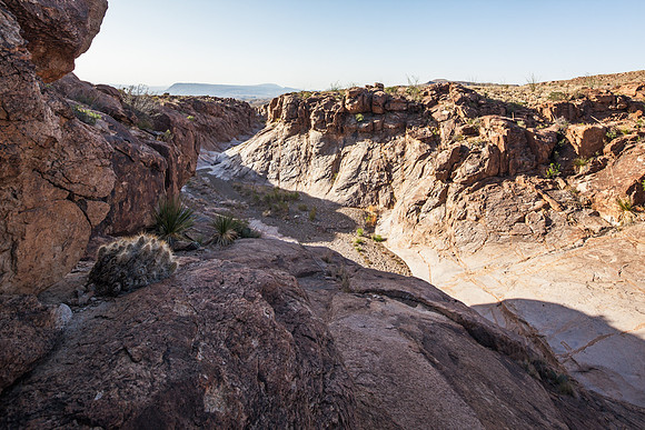 Big Bend IMG_0291