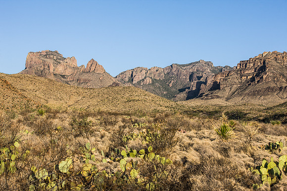 Glen Springs Road__MLL4323
