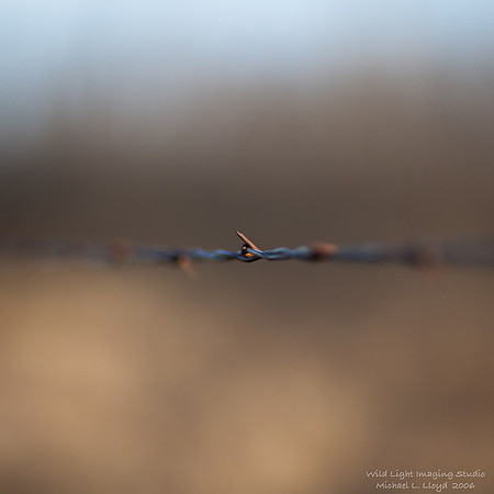 The Point_M4L0526s