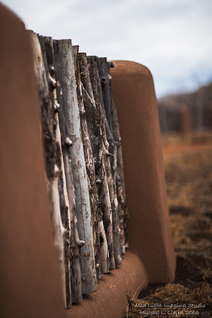 No Fences_M4L0482