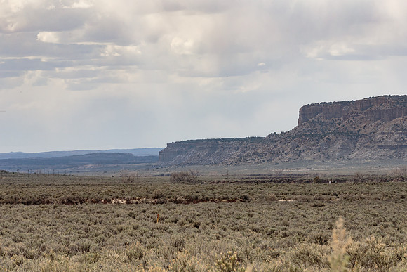 Pipeline Marker in the Sage Brush