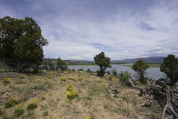 Navajo Lake