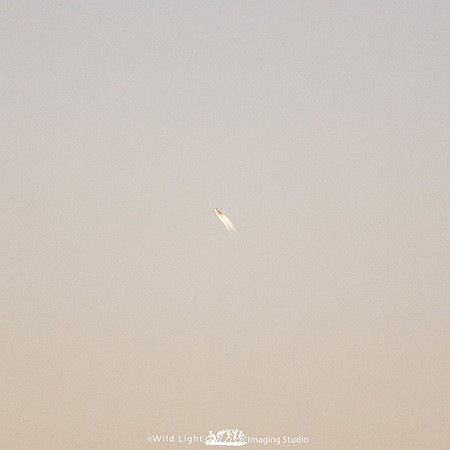 UFO_MLL1744