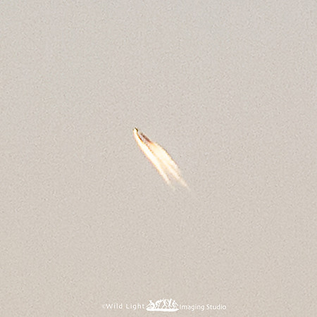 UFO_MLL1744 heavy crop