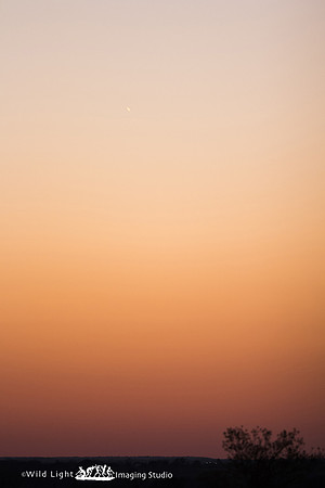 UFO_MG_4508