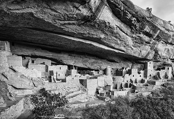 Mesa Verde Cliff Palace