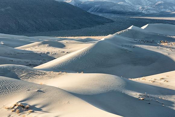 Eureka Dunes_MLL2871