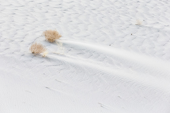 Eureka Dunes Comet_MLL2850