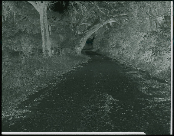 Country Road Test Negative