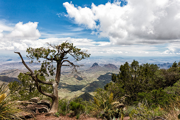South Rim