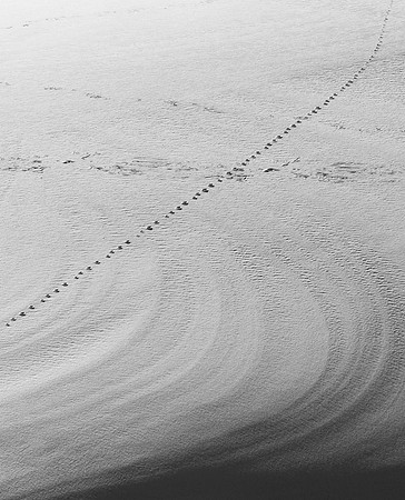 Tracks_MLL2925