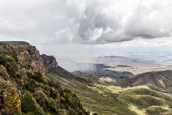 Rain in the Desert