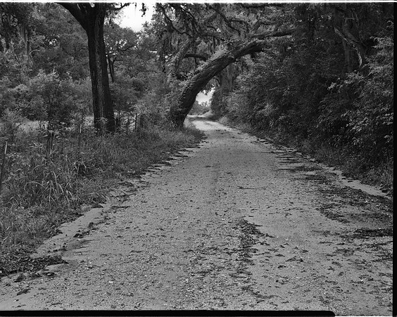 Country Road Test