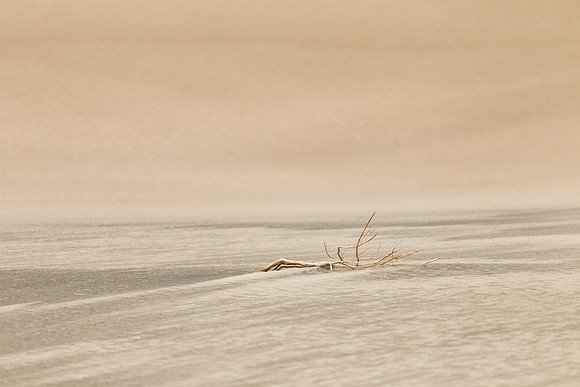 Mesquite Flats Dunes