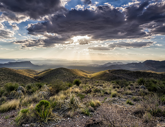 Sotol Vista Sunset