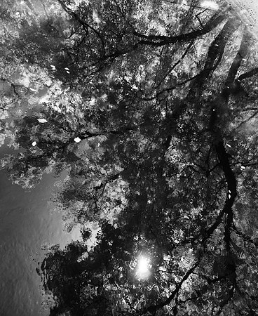Reflected Reality