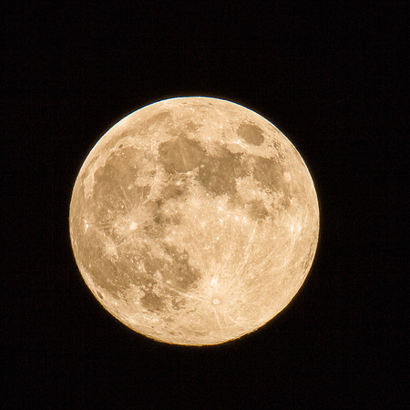 Harvest Moon 2013
