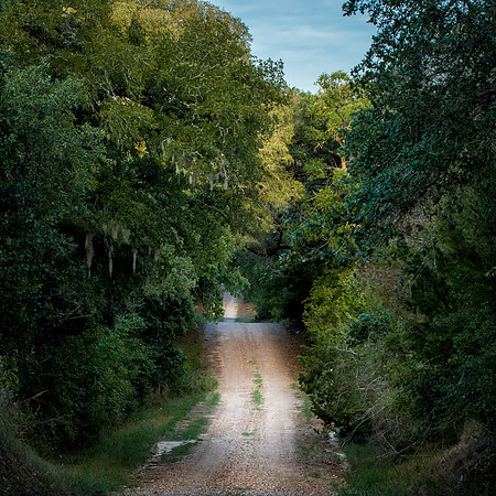 Country Road_MLL3788_September 23, 2013