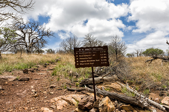 South Rim Trail