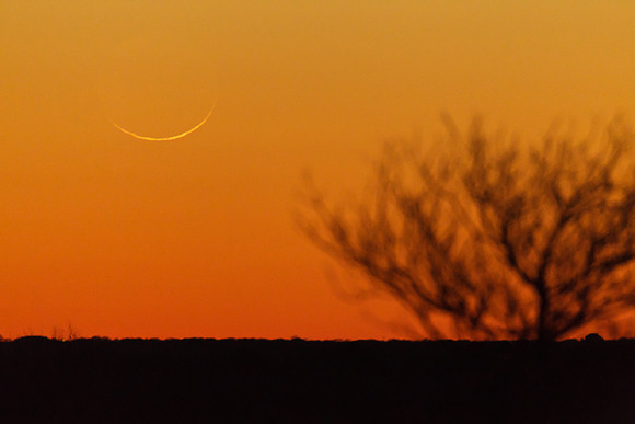 Skinny Moon