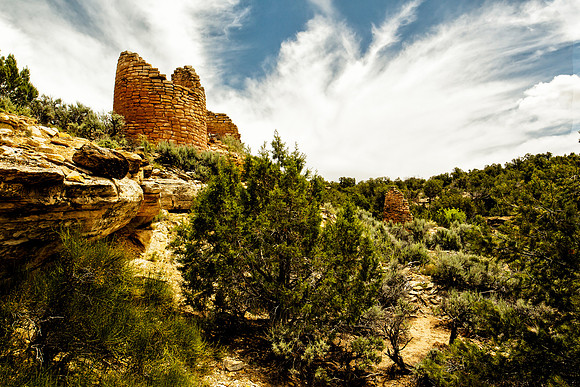Cutthroat Castle Group