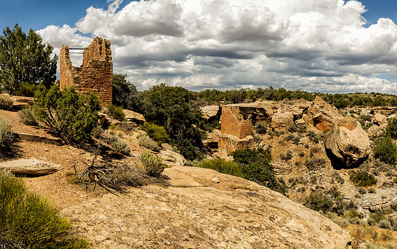 Hovenweep Holly  Group