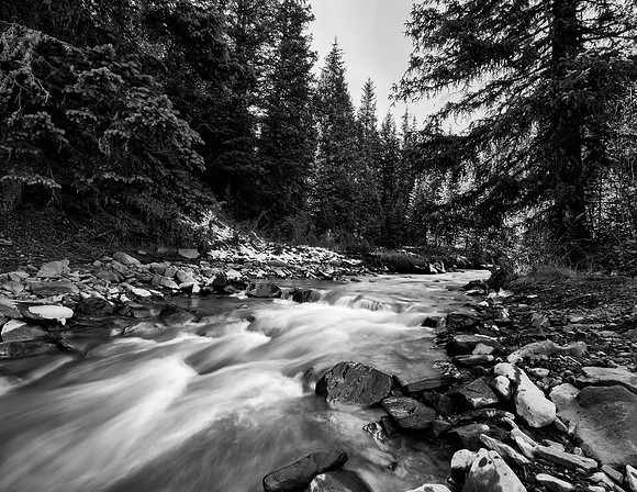 Mountain Stream